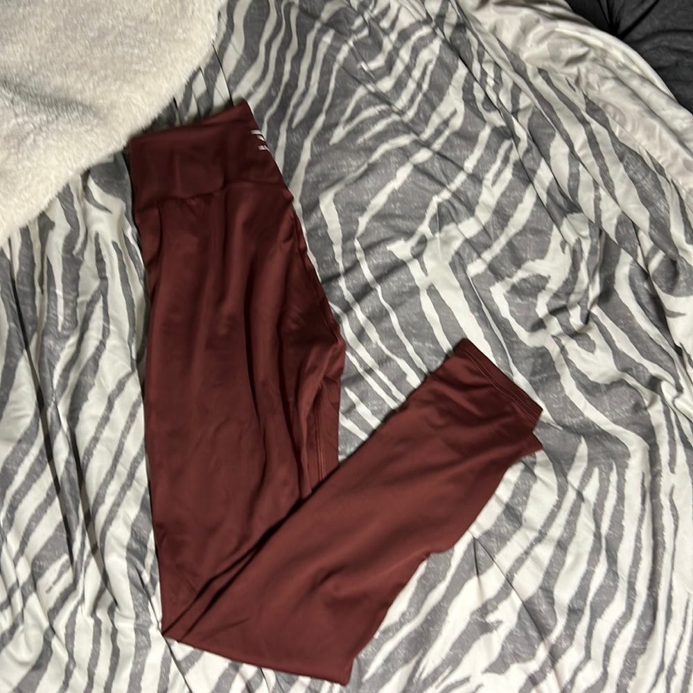 Gym shark training leggings